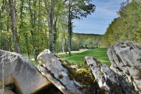 Fototapeta La nature