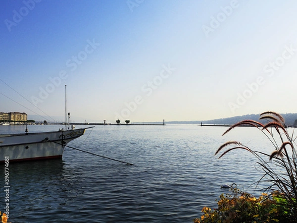 Fototapeta Lac de Genève