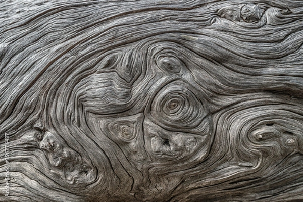 Obraz Full-screen texture of the twisted fibrous trunk of a dead juniper tree