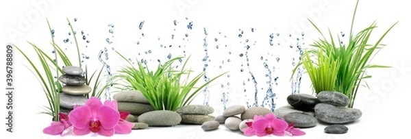 Obraz SPA WODNE