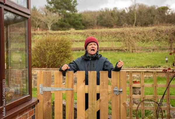 Fototapeta Senior woman shouting over a wooden gate outdoors in winter 