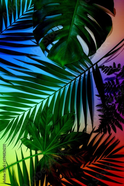 Fototapeta Dazzling beauty. Summer tropical exotic leaves isolated on bright background. Design for invitation cards, flyers. Abstract design templates for posters, covers, wallpapers with copyspace for text.