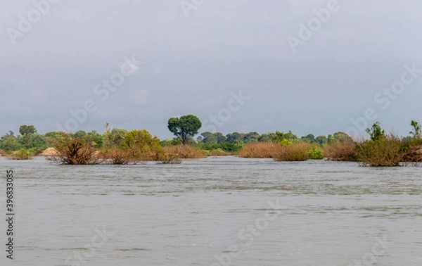Fototapeta Fleuve Mékong à Kratie, Cambodge