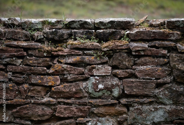 Obraz old dry stone wall with lichen
