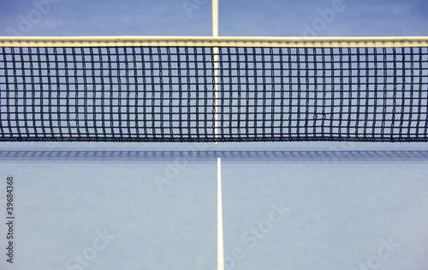 Obraz Net for a table tennis