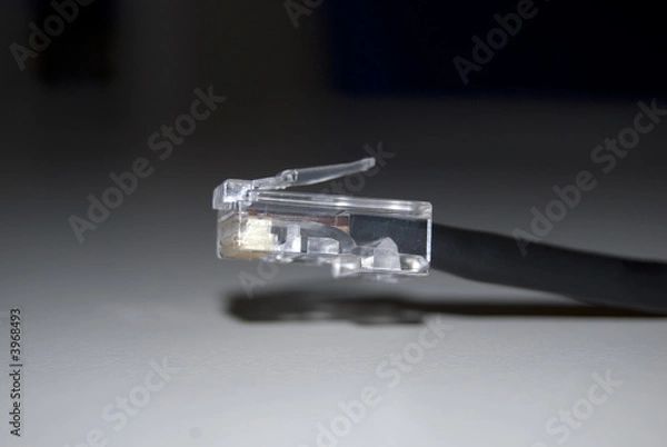 Obraz cavo connessione internet