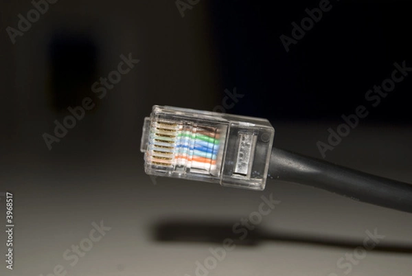 Obraz cavo connessione internet