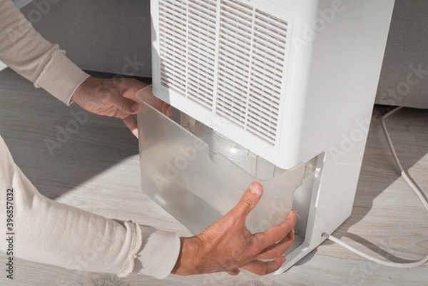 Fototapeta Man changing water container in air dryer, dehumidifier, humidity indicator. Humid air at home.