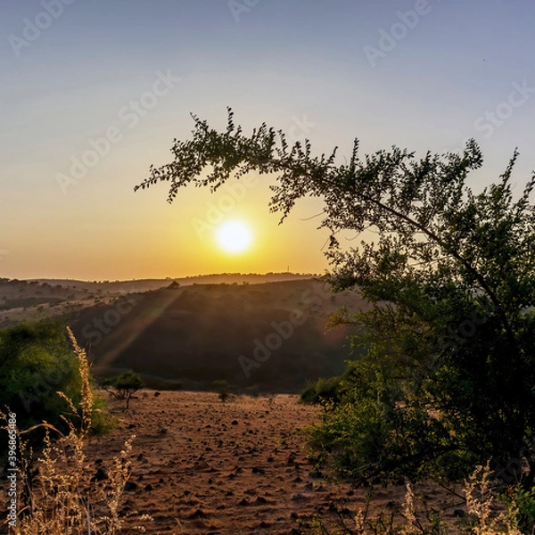 Obraz sunset in the desert