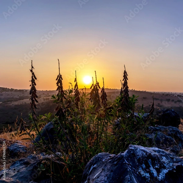Fototapeta sunset over the mountains