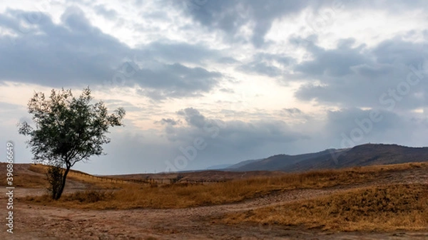 Obraz tree in the mountains