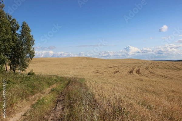 Obraz landscape with sky and clouds