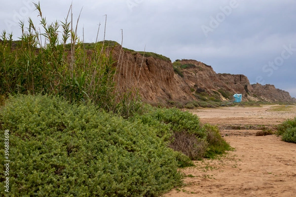 Obraz Guard tower behind bamboo