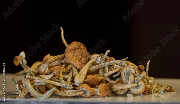 Obraz Dried Mushrooms