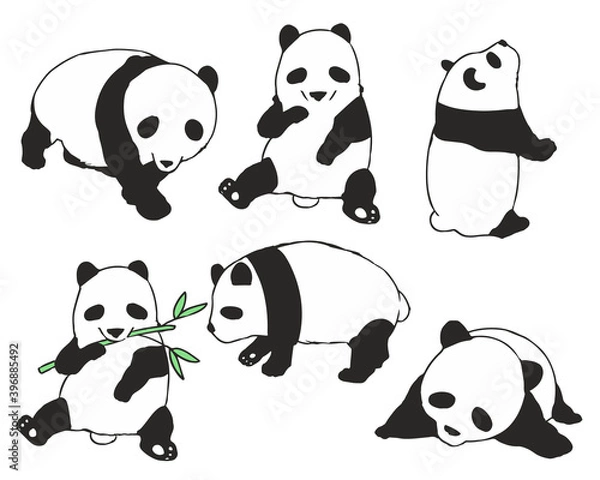 Fototapeta パンダ　子供