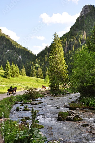 Fototapeta Tatry Dolina Kościeliska