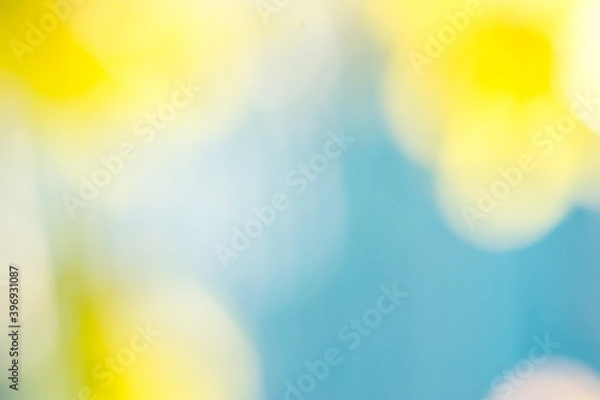 Obraz Blurred green, yellow and blue background natural tree and sky with bright sunlight. Defocus blur background. 
