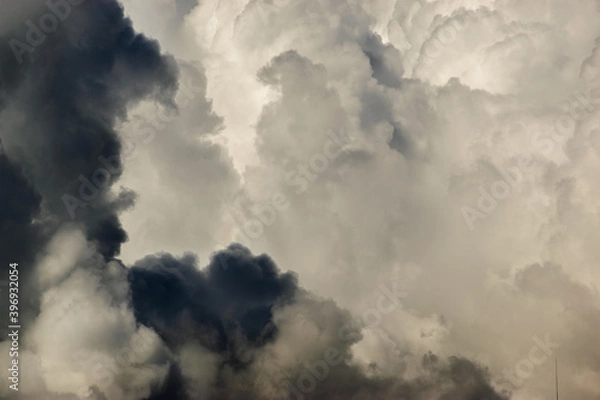 Fototapeta White cloud background and texture