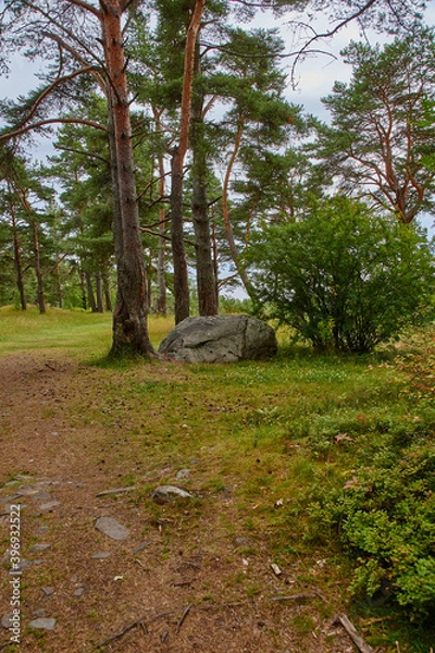 Obraz A narrow forest path.Summer cloudy day. The narrow dirt path in the woods. On the sides of the walkway deciduous trees. Russia, landscape, nature, summer