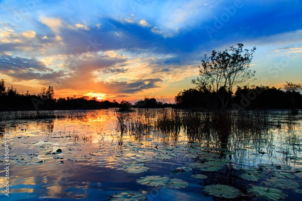 Obraz Monkey Lake Sunset