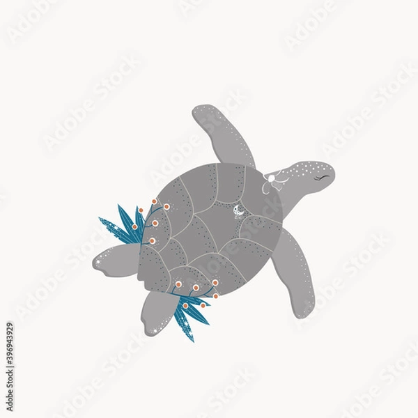Fototapeta Vector illustration of a sea turtle.Isolated on a white background