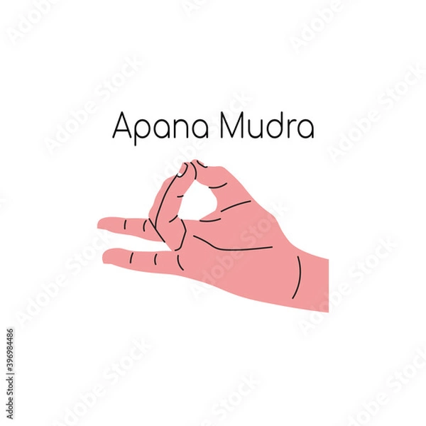 Fototapeta Apana mudra. Yoga hand gesture. Meditation. Vector illustration in flat minimalism design. Isolated on a white background