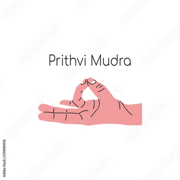 Fototapeta Prithvi mudra or Prithvi Vardhak or Agni Shamak mudra. Yoga hand gesture. Meditation. Vector illustration in flat minimalism design. Isolated on a white background