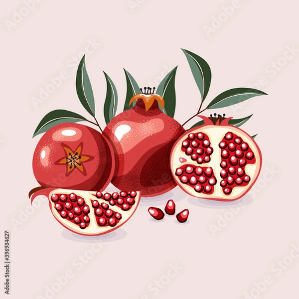Fototapeta Vector illustration of a whole, half juicy pomegranate with leaves. Cartoon style, shadow texture. Isolated fruit on a light background.