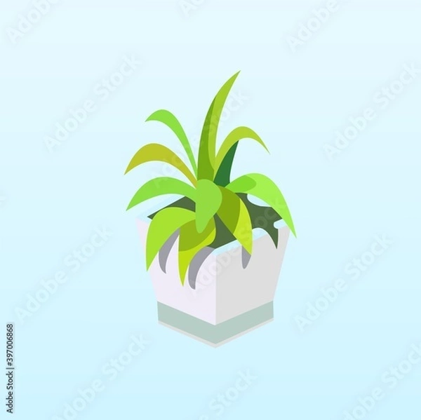 Obraz Vector of a plant in a vase on baby blue background