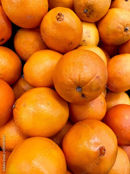 Obraz Florida Navel Oranges