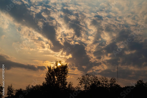 Fototapeta Sunset sky and clouds against silhouette of trees. Evening sky with sunlight shining through the trees.