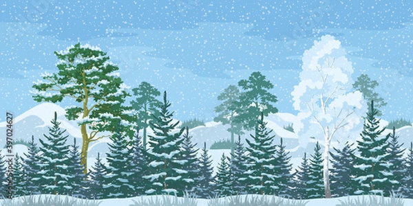 Fototapeta Seamless Horizontal Christmas Winter Forest Landscape with Pine, Birch, Firs Trees and Sky with Snow and Clouds. Vector