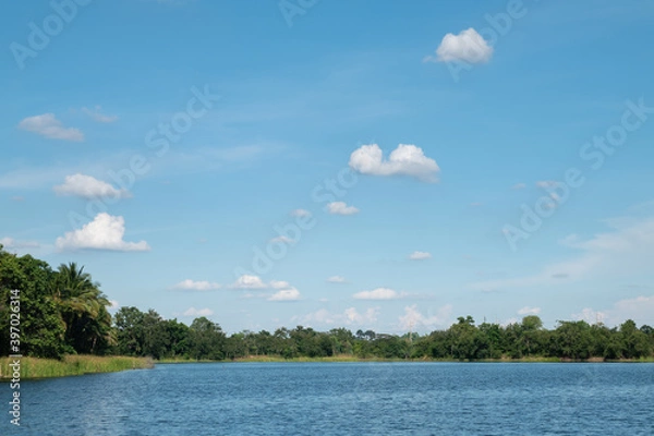 Fototapeta Scenic view of rural pond surrounded by the trees against clear blue sky and clouds background.