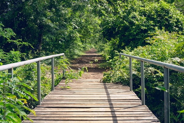 Fototapeta Perspective view of wooden and steel bridge connecting dirt road among the trees.