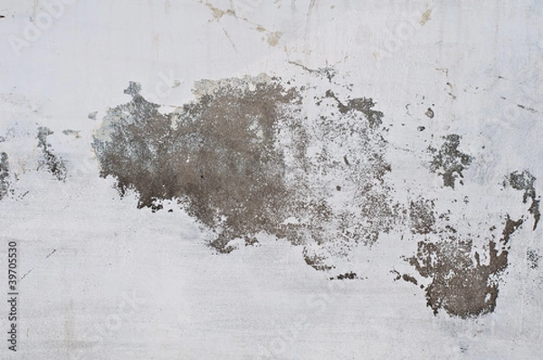 Fototapeta cement wall