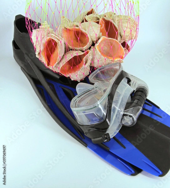 Obraz diving equipment and shellfish in a net