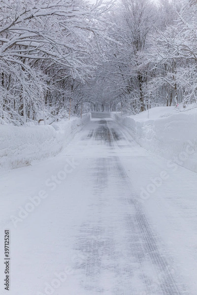 Fototapeta 山の雪道