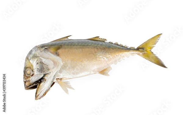 Fototapeta Steamed mackerel fish isolated on white background