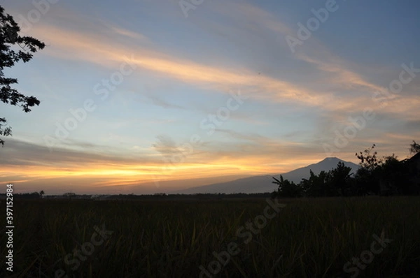 Fototapeta sunset over the field
