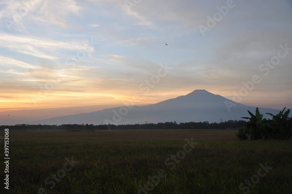 Fototapeta sunset over the field