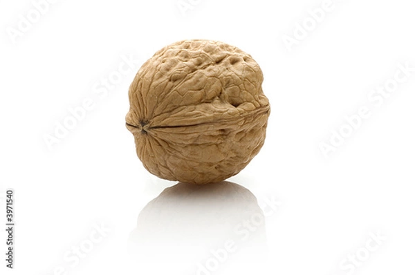 Obraz Walnuss