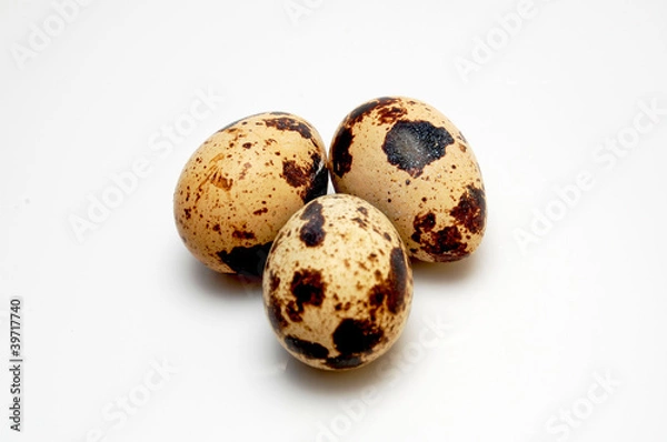 Fototapeta Quail egg