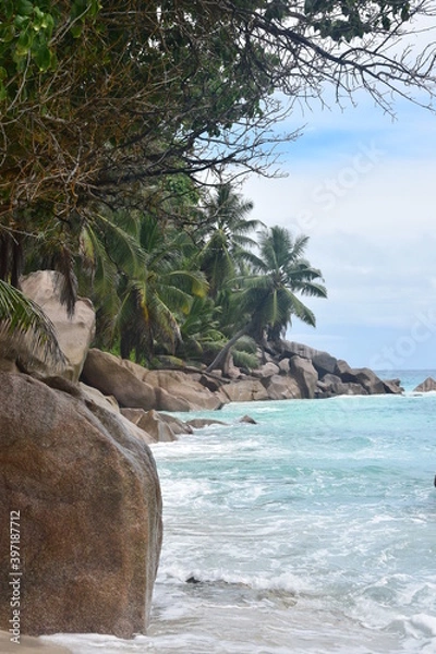 Obraz seychelles