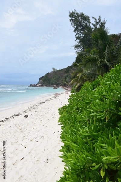 Obraz seychelles