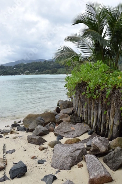 Obraz seychelles