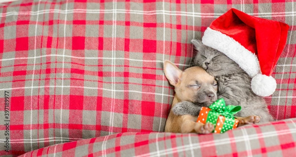 Fototapeta Gray kitten wearing red santa's hat hugs toy terrier puppy and sleeps under a checkered or tartan blanket blanket on a bed at home with gift box. Top down view. Empty space for text