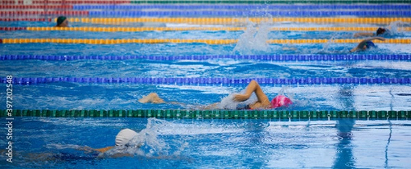 Fototapeta children athletes swim in the pool workout