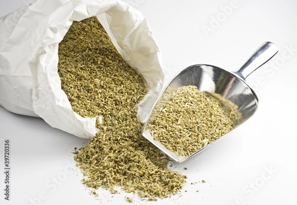 Obraz Schafgarbentee