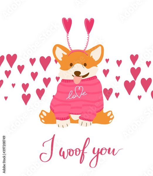 Fototapeta Funny vector corgi in headband with hearts for Valentine day print. I woof you quote with dog for February, 14