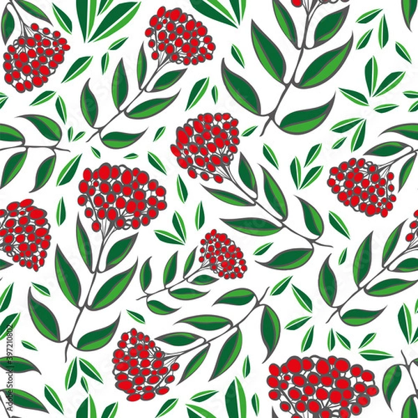 Obraz Vector Cotoneaster berries and leaves. Seamless red, white, green pattern background. Backdrop with scattered hand drawn forest garden fruit and foliage. Winter themed botanical all over print.